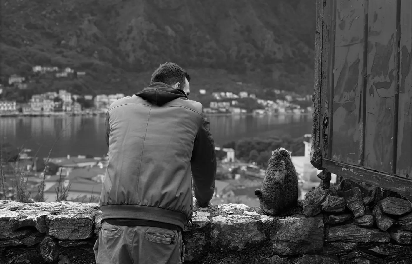 Looking over the bay in Kotor